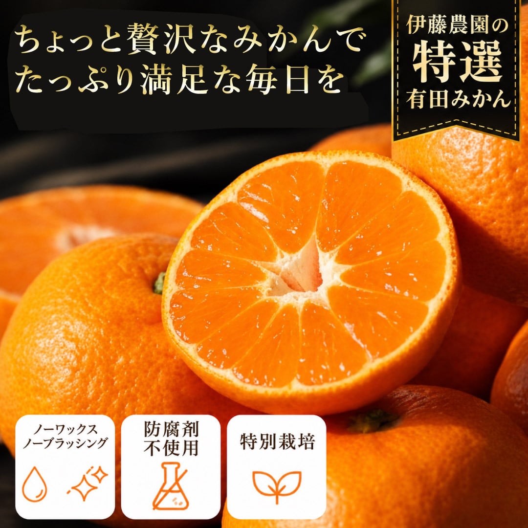 みかん 5kg 贈答用 秀品 特選 送料無料 和歌山 S M 小粒 中粒 手詰め 有田みかん 温州みかん 約40個～60個入ります ご当地 お出産内祝い 贈答 ギフト 誕生日 結婚祝い 出産祝い 内祝い ギフト