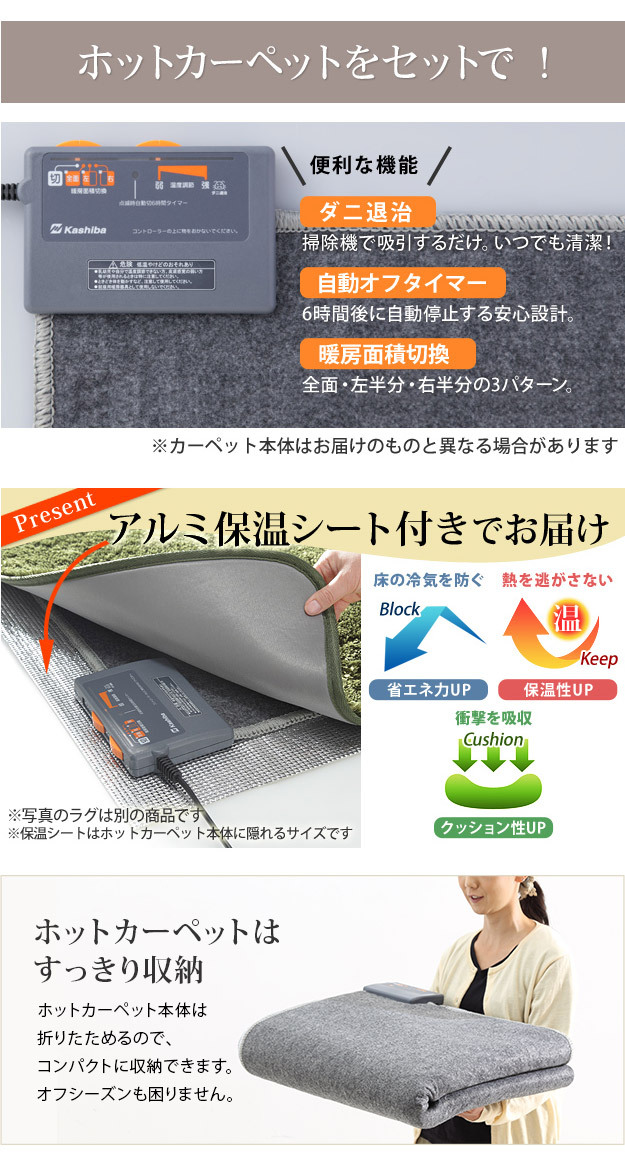 ホットカーペット カバー 防水 木目調ホットカーペット・カバー-ウッディ 3畳用(250x198) ホットカーペット本体 2点セット ラグ リビングマット フローリング調 クッション性 抗菌 防カビ 防汚 防水 日本製 床暖房対応 ペット 子供 あったか