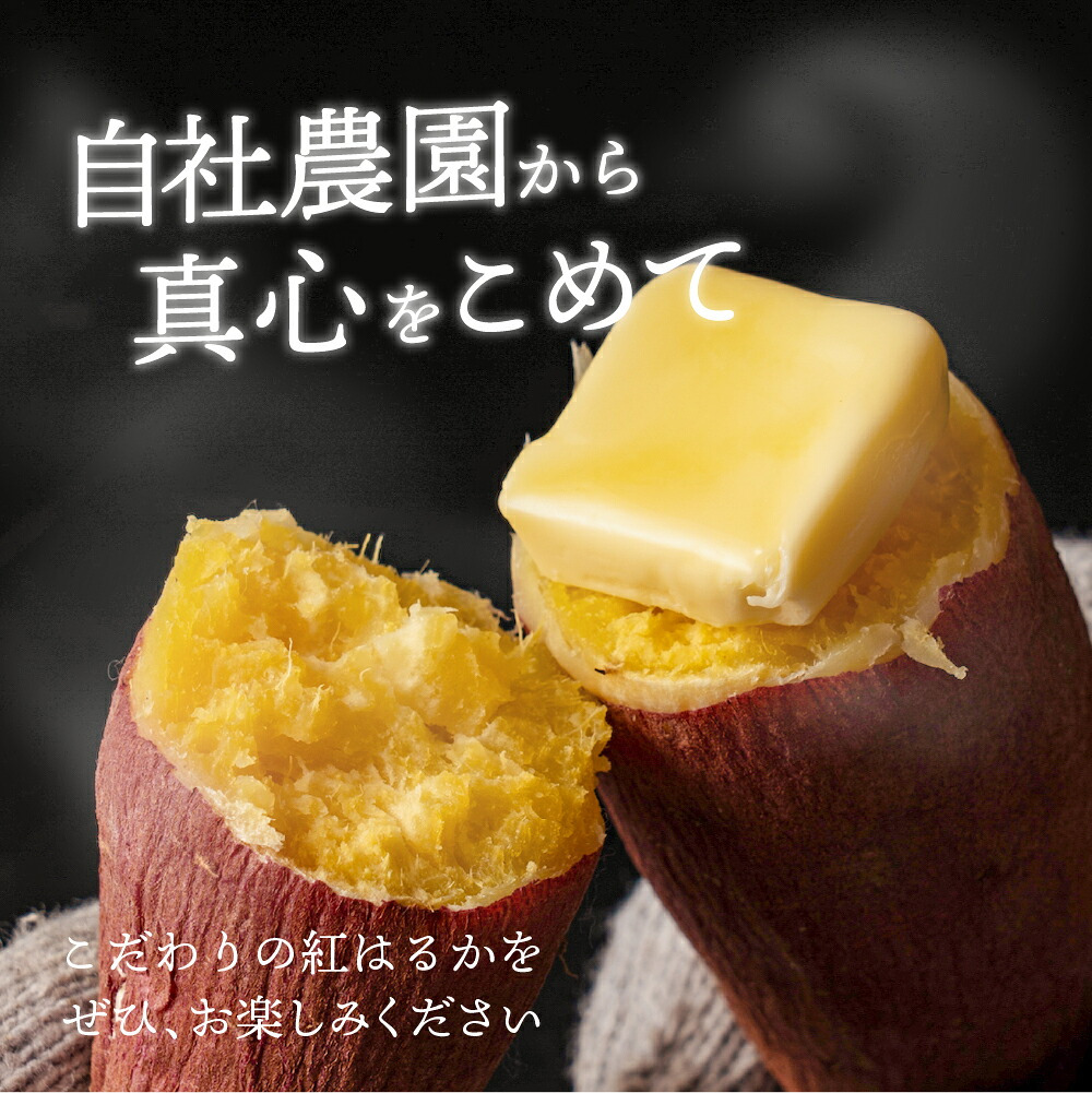 静岡県産 さつまいも 紅はるか 【内容量が選べる1kg~10kg】雑穀米本舗  送料無料 スイーツ 生芋 生 サツマイモ べにはるか 甘い 美味しい 産地直送 ギフト プレゼント