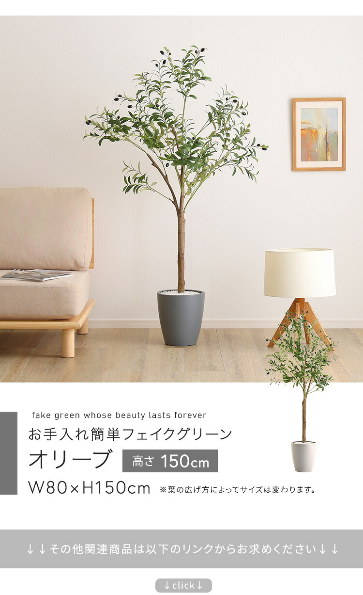 お手入れ簡単 フェイクグリーン オリーブ Mサイズ(150cm) 新築祝い 開店祝い