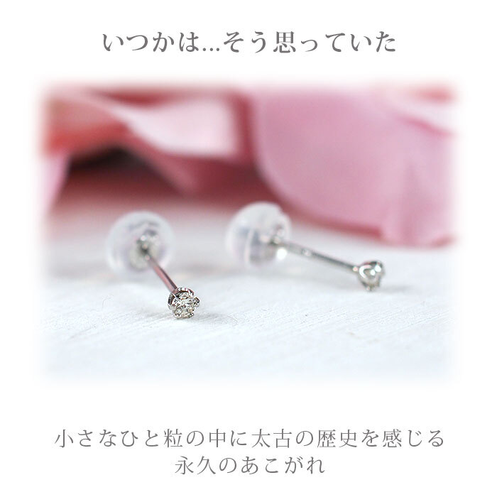 【日本製・鑑別書つき】天然ダイヤモンド 一粒 0.03 セカンドピアス ピアス PT900 プラチナ 軸太0.65mm 軸長10mm 金属アレルギー対応 レディース メンズ ダブルロックキャッチ 地金【全品1個ずつバラ売り】 プレゼント