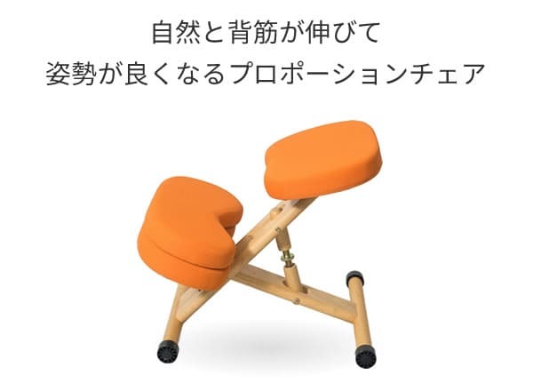 オフィスチェア 背筋をまっすぐサポートする色合い豊かなプロポーション 補助クッション 選べる 5色 別売り 学習椅子 木製 大人 勉強椅子 バランスチェア おしゃれ カバー パソコンチェア コンパクト デスクチェア 子供 イス キッチン リビング スリム