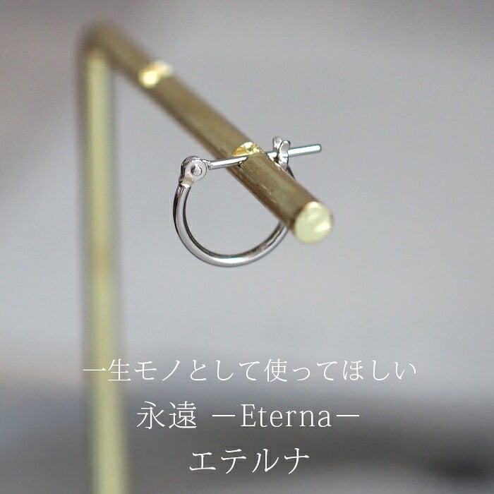【ジュエリーの町 山梨甲府製】プラチナ フープピアス 細い 小さい PT900 幅1mm×直径10mm アレルギー対応  日本製 品質保証書 おすすめ 片耳 1個 かわいい