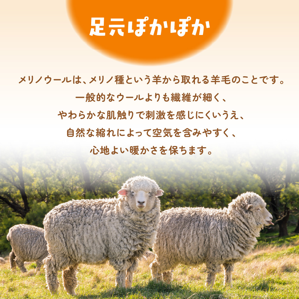 メリノ混 ふくらはぎウォーマー あったまるん 日本製 レッグウォーマー ふくらはぎ用 ウール混 冷え対策 秋冬 防寒 保温 足元ウォーマー アームウォーマー ふくらはぎ 冷え 足 足首 あったかグッズ