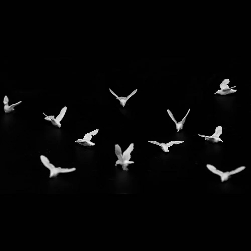ミニチュア 鳥 フィギュア 11点セット ホワイト バード 鳥模型 ジオラマ 箱庭 ミニチュアガーデン 情景模型 デコレーション 撮影小物 DIY 装飾