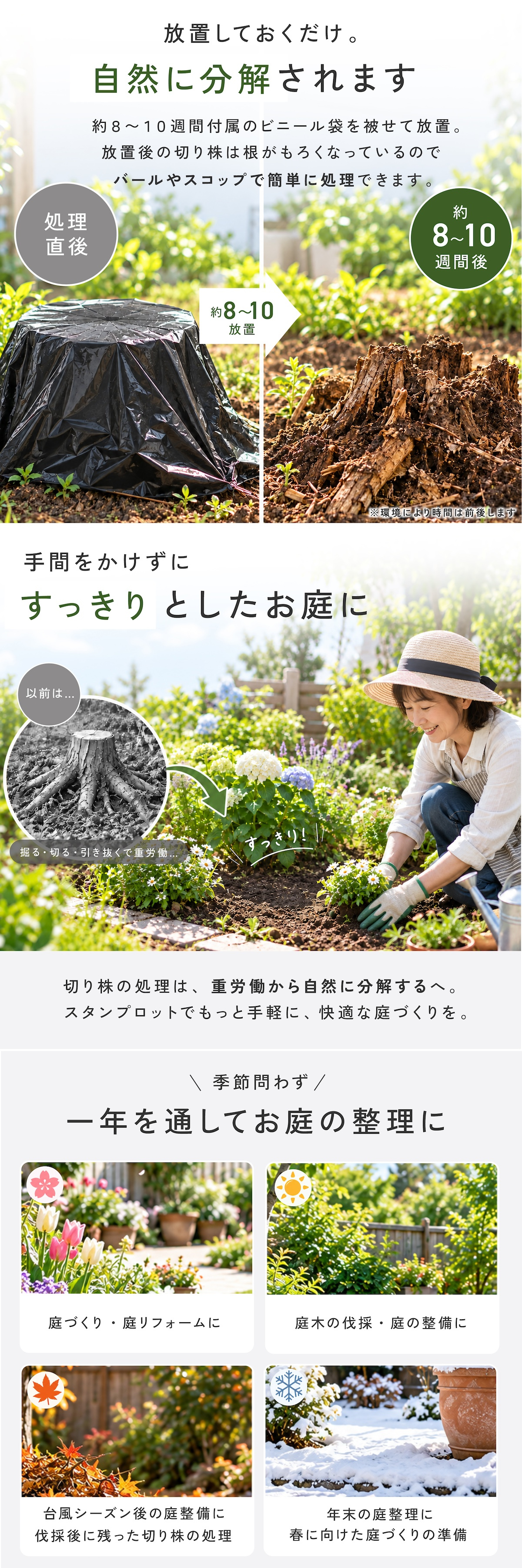 切り株処理剤 スタンプロット 400g 単品 2個セット 切り株の処理 切り株除去 繊維分解 ガーデニング 庭 手入れ 庭木 樹木 根株 木の根 除去 顆粒タイプ 水に溶ける 庭のお手入れ 枯れ木処理 園芸用品 伐採後 処理 切株処理 抜根補助 日本製