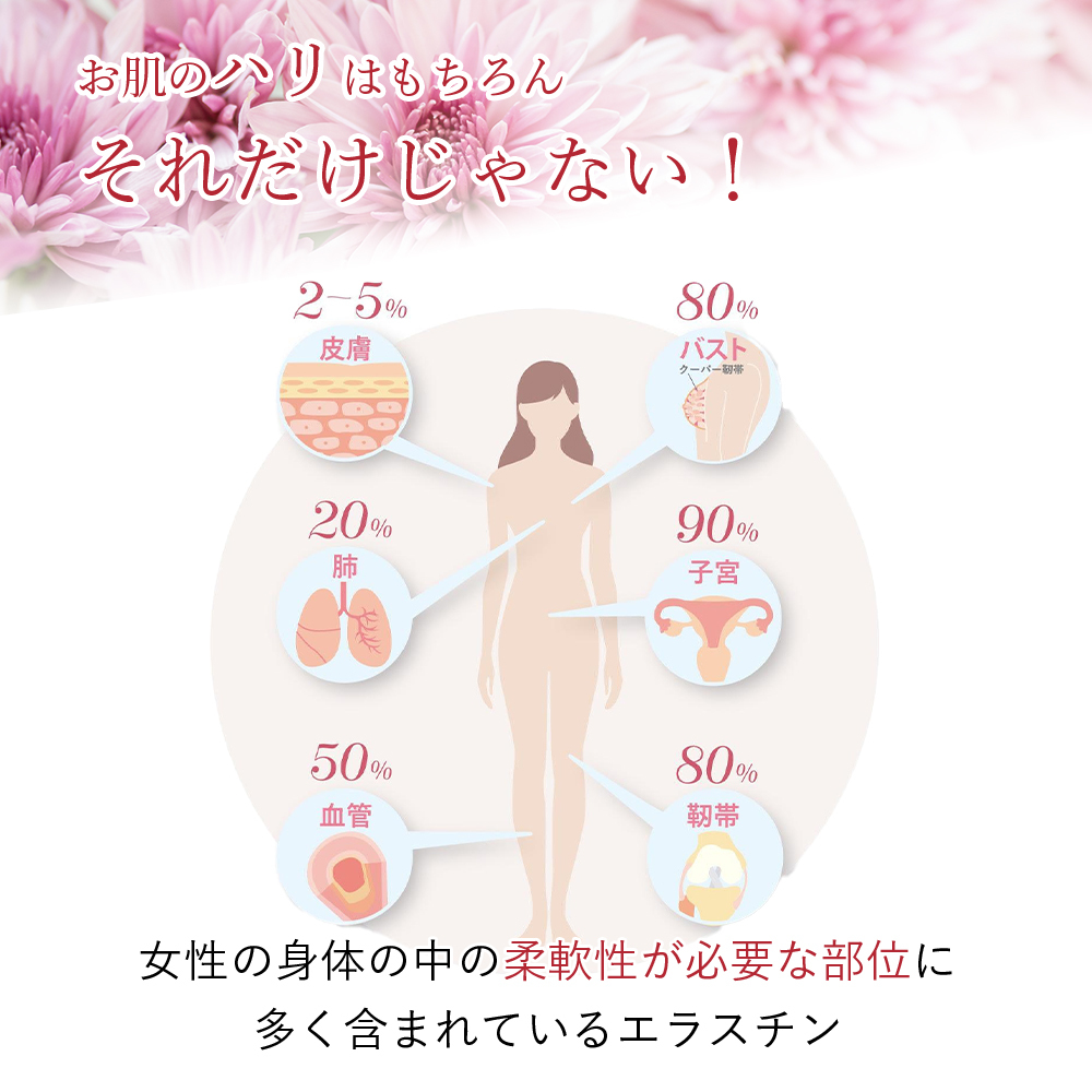【パッケージリニューアル 2026年4月】季令（KIREI） エラスチンカプセル 100粒 高純度エラスチン 100％天然由来 コラーゲン エラスチン ヒアルロン酸 エイジングケア スキンケア キレイ 無着色 合成保存料・香料不使用 ACTLAND