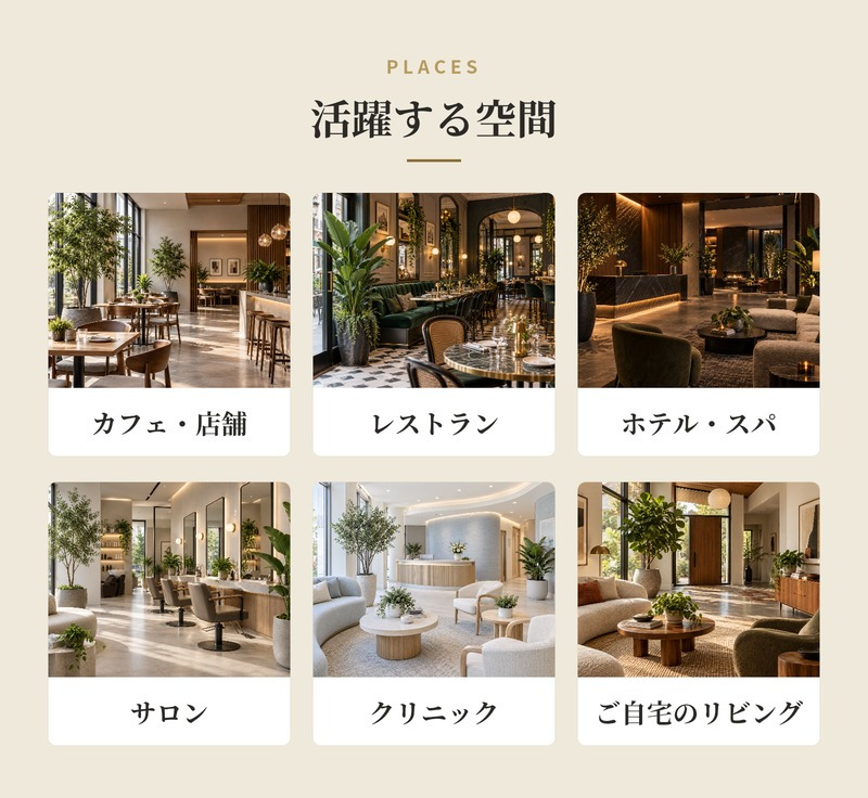 観葉植物 造花 コーヒーの木 BROWN 全高約170cm 大型 スリム フェイクグリーン 高級 本物そっくり リアル おしゃれ インテリア 人工観葉植物 アーティフィシャルグリーン カフェ オフィス 店舗 開店祝い 室内 リビング 玄関 寝室 風水 コーヒーノキ