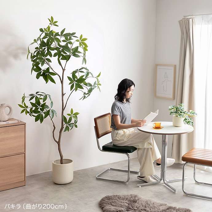 【高さ160cm】光触媒人工観葉植物 パキラ 曲がり 幅72cm×奥行50cm×高さ160cm オフィス 天然木 組立品 お部屋に気軽に飾れて空間を美しく彩るフェイクグリーン 本物の植物のようなリアルな質感とインテリアに馴染む風合いが魅力です