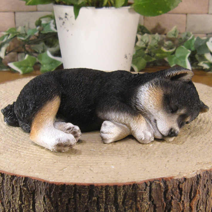 柴犬　置物 リアル　黒柴　お昼寝中　いぬ　動物オブジェ　ガーデン　オーナメント　店舗　カウンター　装飾　オブジェ　インテリア　玄関先　庭　犬好きさん人気ギフト　動物人気ギフト　クリスマスプレゼント　お誕生日祝い　母の日人気　父の日人気　敬老の日人気