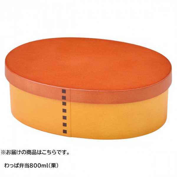 わっぱ弁当箱 800ml 栗 木目調 弁当箱 ランチボックス 抗菌加工 電子レンジ対応 食洗機対応 大人 子供 メンズ レディース 男子 女子 おしゃれ 樹脂製 曲げわっぱ風 お弁当箱 セトクラフト