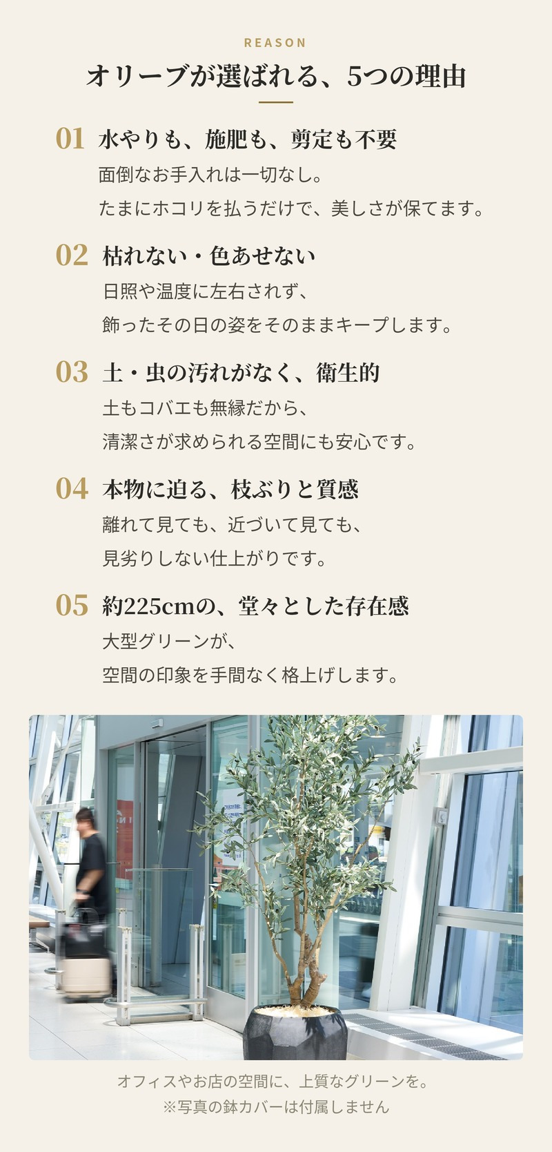 観葉植物 造花 オリーブ BROWN 全高約225cm 大型 実付き フェイクグリーン 高級 本物そっくり リアル おしゃれ インテリア 人工観葉植物 アーティフィシャルグリーン オフィス 店舗 ホテル カフェ 開店祝い 室内 リビング 玄関 風水 庭木 オリーブの木