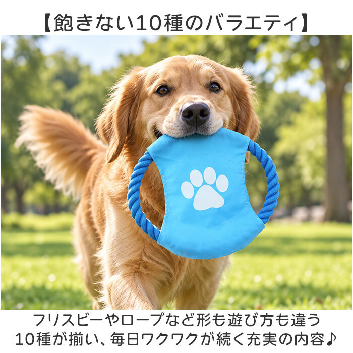 犬 おもちゃ 10個セット 通販 コットンロープ デンタルケア 運動不足解消 引っ張り合い 一人遊び 投げて遊ぶ 水洗い可能 耐久性抜群 噛むおもちゃ 室内屋外兼用 多頭飼い ペット用おもちゃ 安全素材 ストレス発散 小型犬