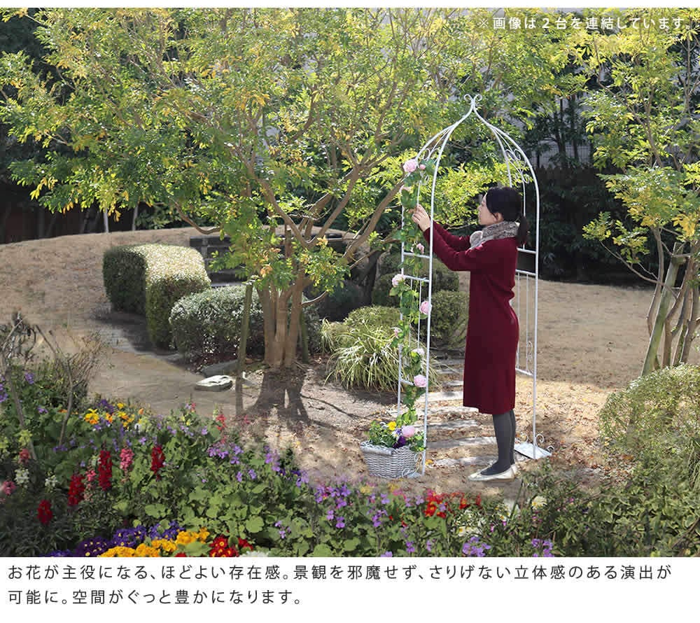 ガーデン エクステリア アイアンハーフアーチ ダブル アイアンアーチ 門 鉄製 ハート 花 フェンス アーチ おしゃれ 小型 北欧 ガーデニング 屋外 家具 ツタ 蔦 エントランス ロマンチック ハーフ 園芸支柱 新生活