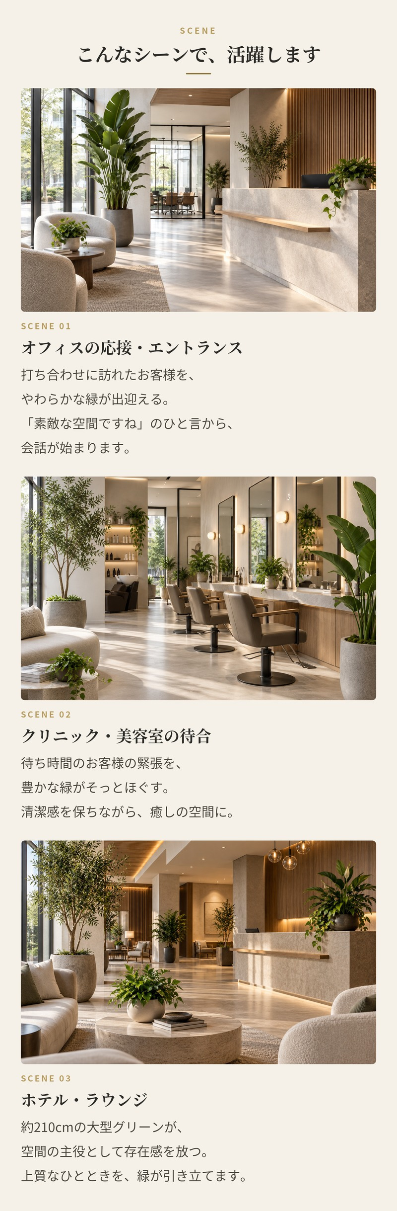 観葉植物 造花 ツピタンサス BROWN 全高約210cm 大型 3本立ち フェイクグリーン 高級 本物そっくり リアル おしゃれ インテリア 人工観葉植物 アーティフィシャルグリーン オフィス 店舗 ホテル 開店祝い 室内 リビング 玄関 風水 ツピダンサス