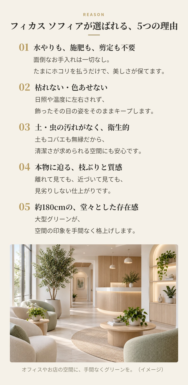 観葉植物 造花 フィカス ソフィア BROWN 全高約180cm 大型 フェイクグリーン 高級 本物そっくり リアル おしゃれ ナチュラル インテリア 人工観葉植物 アーティフィシャルグリーン オフィス 店舗 ホテル 開店祝い 室内 リビング 玄関 風水 ゴムの木
