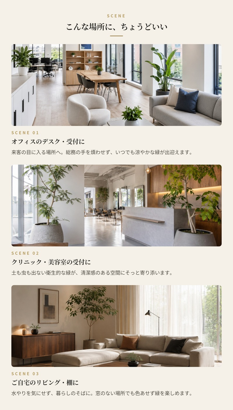 観葉植物 造花 ボストンファーン シルバー BROWN 全高約77cm 卓上・小型 フェイクグリーン 本物そっくり おしゃれ インテリア 人工観葉植物 アーティフィシャルグリーン オフィス 店舗 ホテル 開店祝い 室内 ミニ シダ タマシダ フェイク