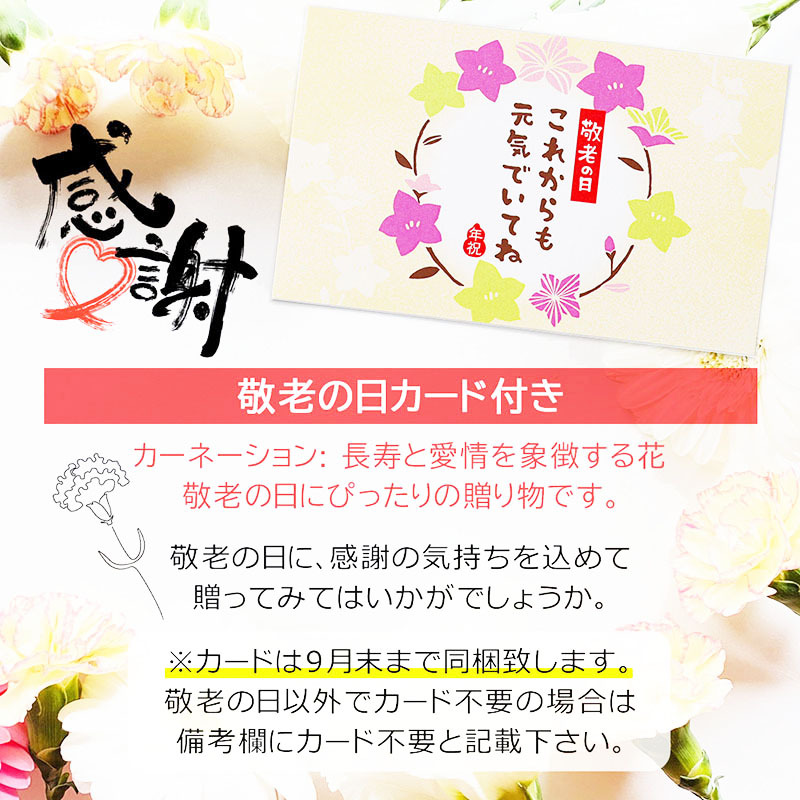 敬老の日 孫から おばあちゃん 祖母 80代 70代 フラワーギフト 花 プレゼント 花束 早割 送料無料 プードル 犬 バルーン花束 バラ そのまま飾れる 日付指定 可能 フラワーギフト 誕生日 シャボンフラワー 癒し 実用的 おしゃれ 可愛い 誕生日 贈り物 お祝い 結婚祝い