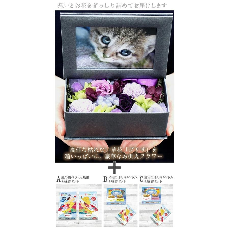 【動物病院 ペットサロン御用達】お供え 仏壇 仏花 四十九日 御供 仏花 法事 亡くなった お悔み花 プリザーブドフラワー 絵本 犬 猫 お悔やみ 贈り物 お供え ペット プリザ 仏花 プレゼント かわいい 写真立て フォト L版 花 アレンジメント ウサギ 線香 ろうそく 枯れない花 お悔やみ お盆の花 法要 3回忌 7回忌 メッセージ