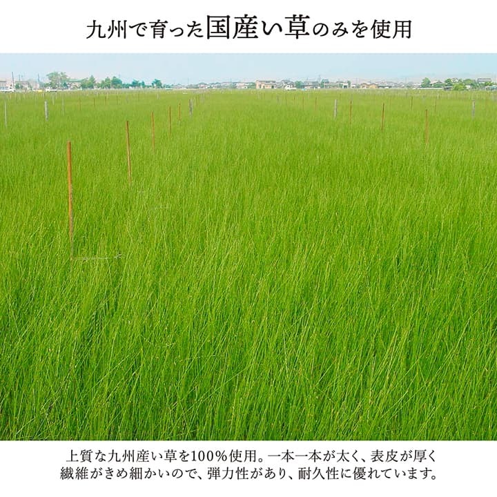 敷物 花ござ 国産 純国産 日本製 い草 掛川織 モダン 抗菌防臭 自然素材 江戸間3畳 約174×261cm
