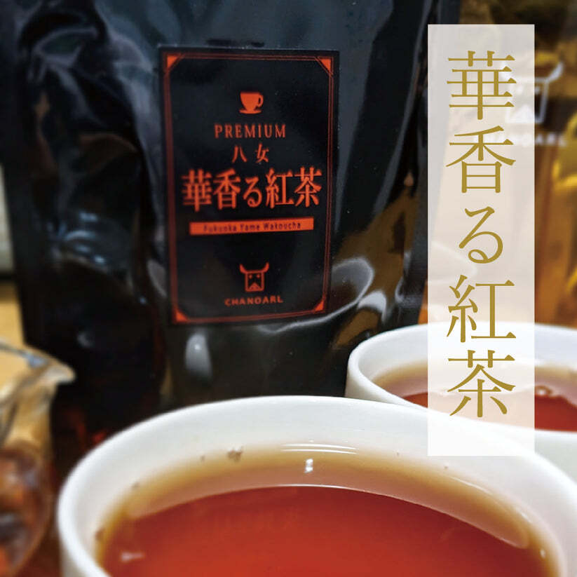 プレミアム八女茶 ティーバッグ4種 ギフトボックス｜日本茶 お茶 玉露 緑茶 和紅茶 高級茶 飲み比べ 詰め合わせ 贈答用 お歳暮 お年賀 クリスマス 誕生日 ギフト プレゼント