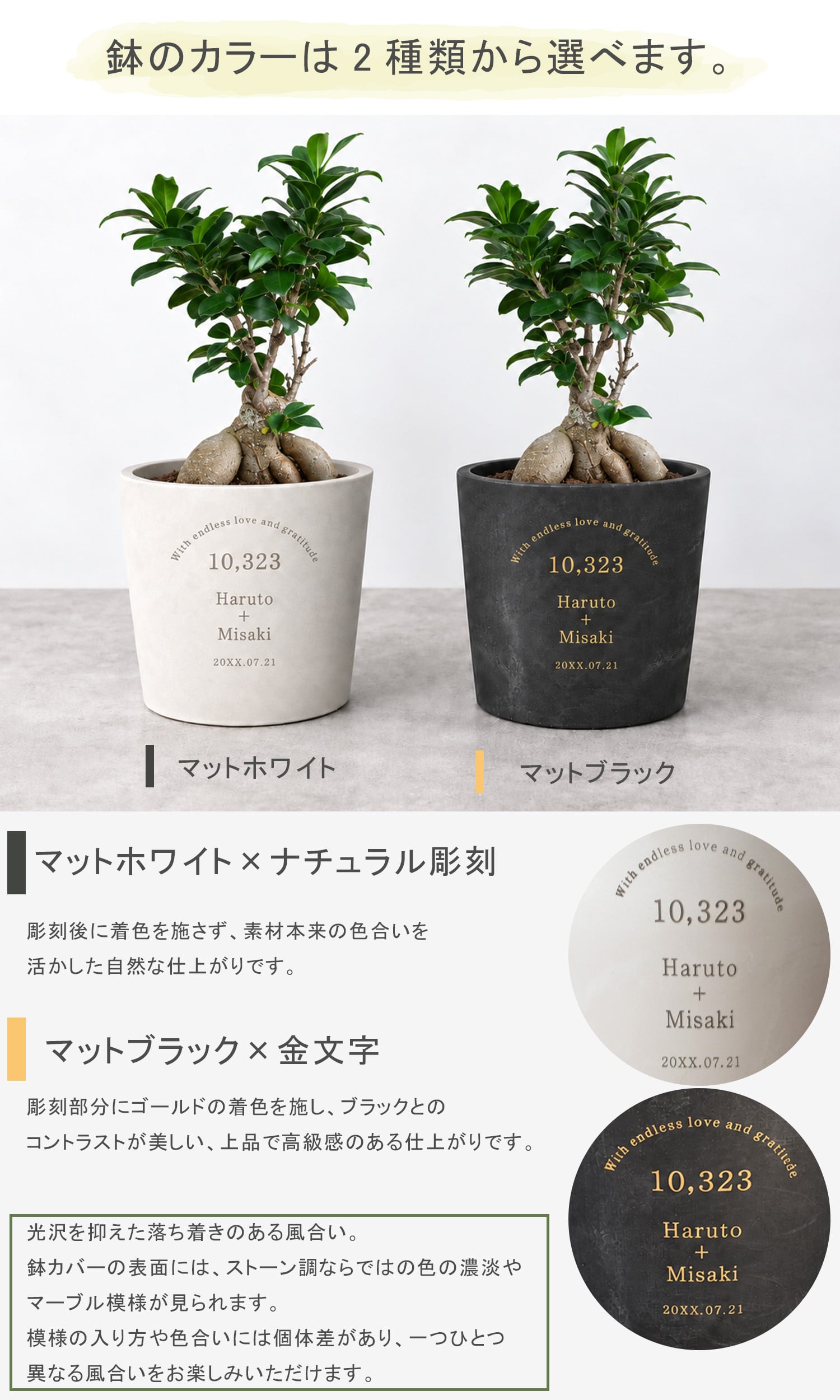 【ガジュマル両親贈呈品】 ガジュマル 記念樹 名入れ 鉢植え 結婚式 ウェディング 子育て感謝状 感謝状 両親プレゼント 両親ギフト 結婚祝い 新居祝い 新郎新婦 記念日 観葉植物 彫刻 インテリア