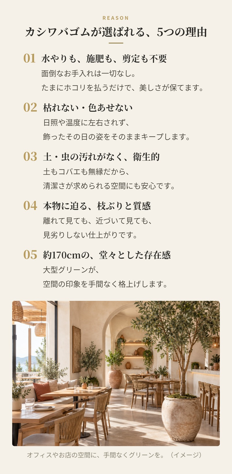 観葉植物 造花 カシワバゴム BROWN 全高約170cm 大型 株立ち フェイクグリーン 高級 本物そっくり リアル おしゃれ ナチュラル インテリア 人工観葉植物 アーティフィシャルグリーン オフィス 店舗 ホテル 開店祝い 室内 リビング 玄関 風水 ゴムの木