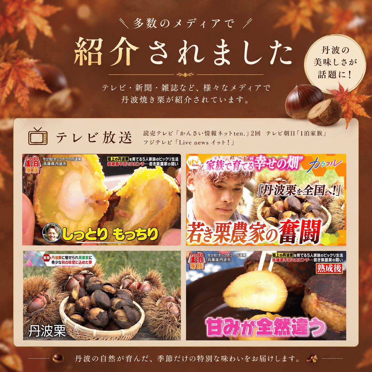 焼き栗 和栗 丹波栗【送料無料】スイーツ 和菓子 お菓子  丹波焼き栗 230g 【丹波の幸】食べ物 くり 栗スイーツ 甘栗 国産 栗 内祝い お返し プチギフト お取り寄せ ご当地 高級 グルメ 勝栗 搗栗
