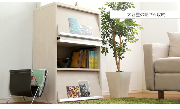収納家具 ラック DEALS-ディールズ- フラップ扉3枚タイプ DS60-F3--WAL ウォールナット ホームテイスト ディスプレイ シリーズ 本棚 ブック フラップ フラップチェスト