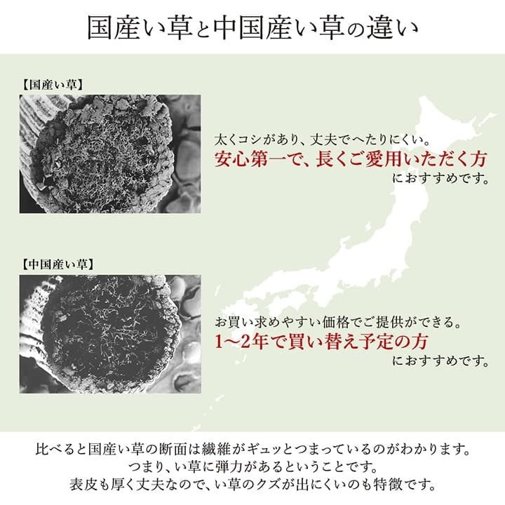 夏ラグ 夏用カーペット 敷物 花ござ 国産 純国産 日本製 い草 モダン 抗菌防臭 自然素材 江戸間8畳 約348×352cm