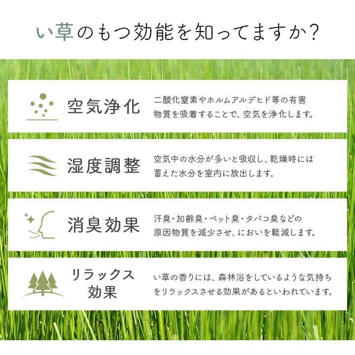 夏ラグ 夏用カーペット 玄関マット 室内 おしゃれ マット い草ラグ 日本製 抗菌防臭 滑り止め ウレタン 新生活 ラグマット 北欧調 約70×120cm