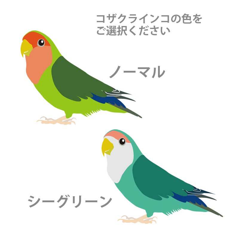 コザクラインコ かわいい 取っ手付きマグボトル おしゃれ 290ml 保温 保冷 ステンレス マグボトル 取っ手付き 真空 断熱 二重構造 ボトル タンブラー 水筒 マイボトル オリジナル インコ オウム 鳥 ペット 動物 アニマル