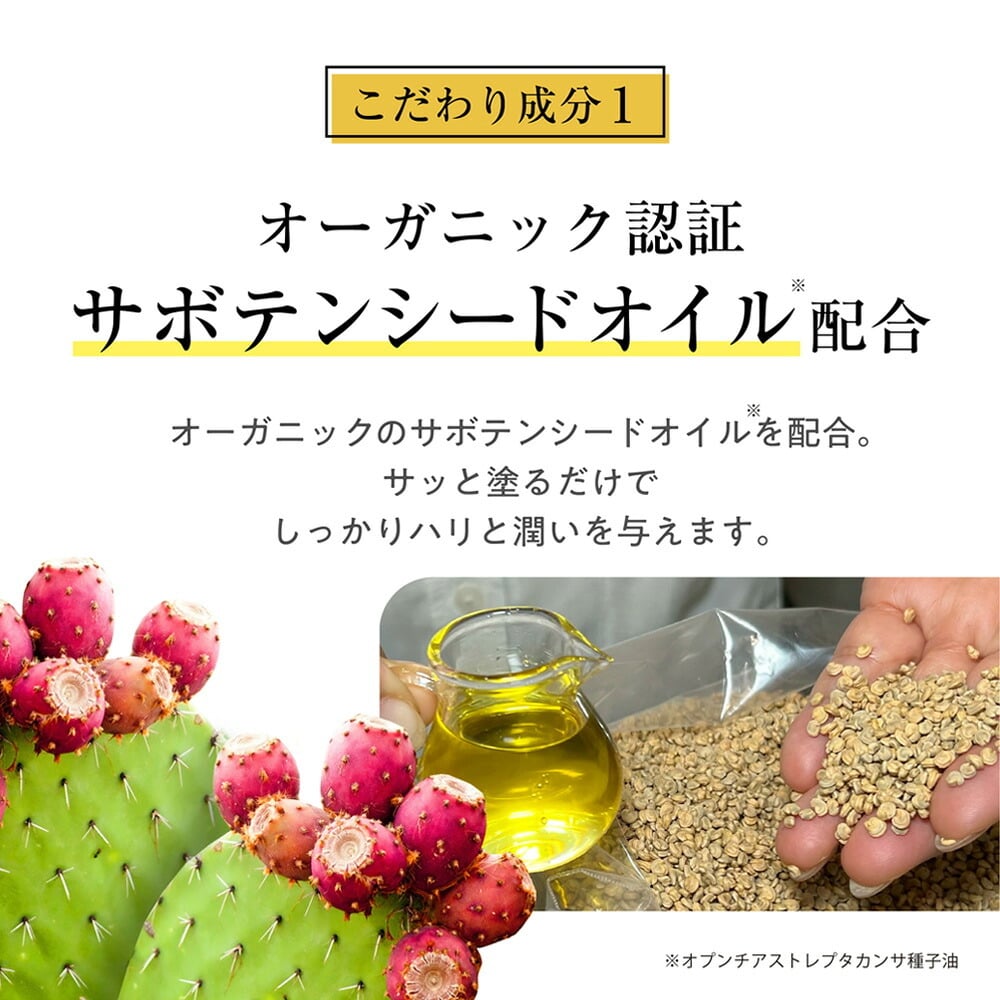 【メール便配送】北斗晶  [ nopa ゴールデンオイルスティック ] ノパ サボテンオイル サボテンコスメ 乾燥 潤い 保湿 美肌 スキンケア オイルバーム バームスティック コンパクト エイジングケア 40代 50代 60代 70代 美容 母の日 誕生日 クリスマス プレゼント 敬老の日