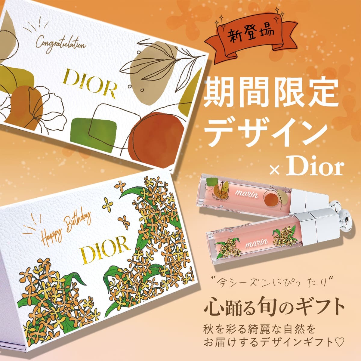 ディオール ハンドクリーム ギフト ディオール リップ ギフトセット DIOR 最新 リップ セット 純正ボックス付 ハンドクリーム アディクトリップ マキシマイザー 001 ディオール ハンドクリーム ギフト ディオール リップ ギフトセット 正規品 新品 通販
