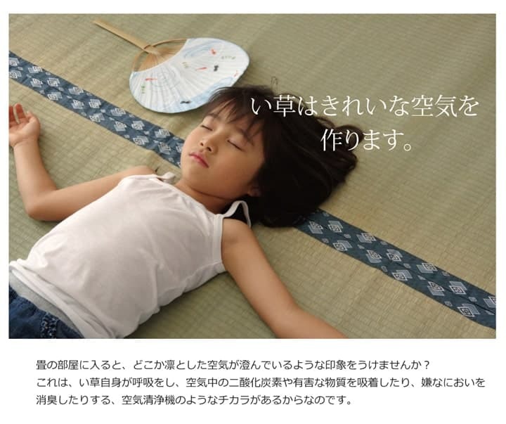 夏ラグ 夏用カーペット 純国産 い草 上敷き カーペット 双目織 『ほほえみ』 江戸間3畳(約176×261cm）