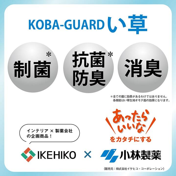 夏ラグ 夏用カーペット ラグ 小林製薬 持続性抗菌剤 KOBA-GUARD 制菌 抗菌防臭 滑り止め 不織布 夏 い草 グラデーション 約190×190cm