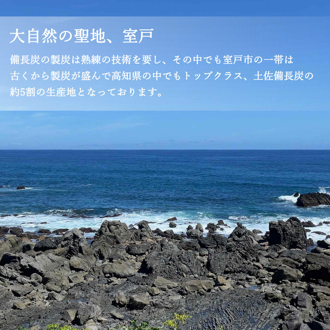 土佐備長炭 炭粒 1～2mm 3.5kg 粒状 備長炭 ふるい掛け 洗浄済み 炭チップ 粒状炭 炭つぶ 高知産 室戸 高級炭 高知県産 国産 高級訳あり粒炭 ウバメガシ 樫 土壌改良 ガーデニング 家庭菜園 消臭 除湿 水質改善 ミネラル補給【送料無料】