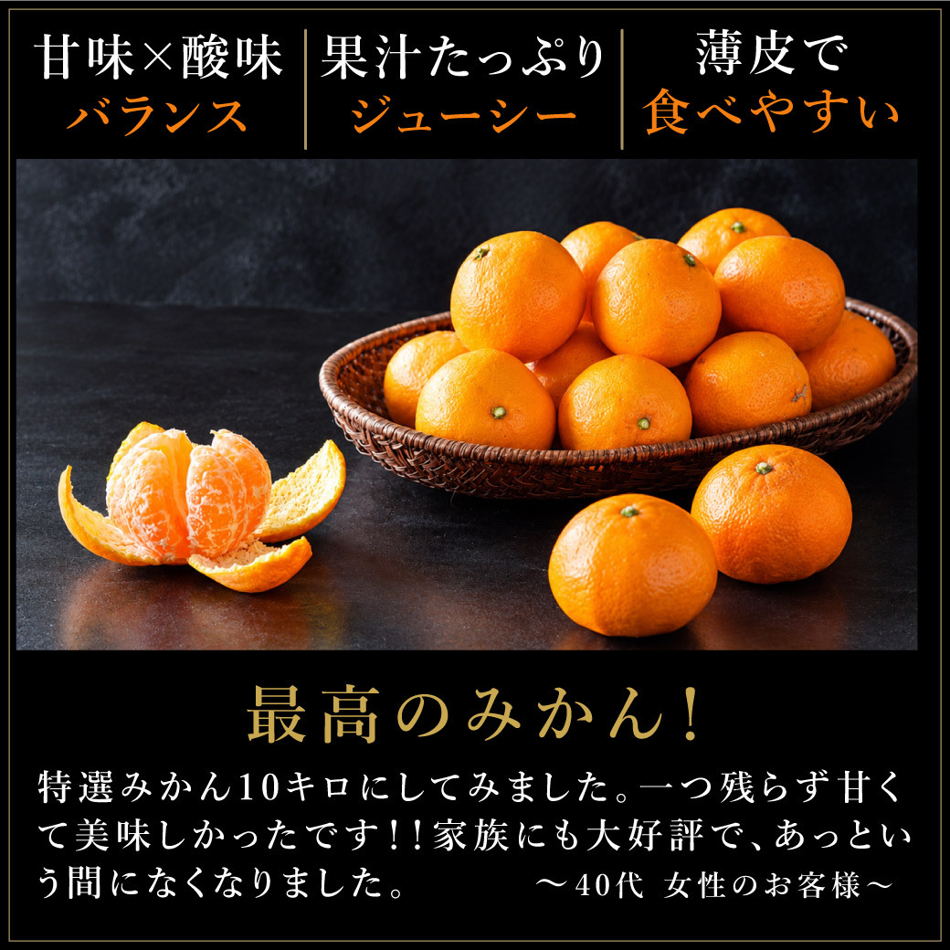 みかん 10kg 贈答用 秀品 特選 送料無料 和歌山 S M 小粒 中粒 手詰め 有田みかん 温州みかん 早生みかん 約80個～120個 ご当地 お出産内祝い 贈答 ギフト 誕生日 結婚祝い 出産祝い 内祝い ギフト