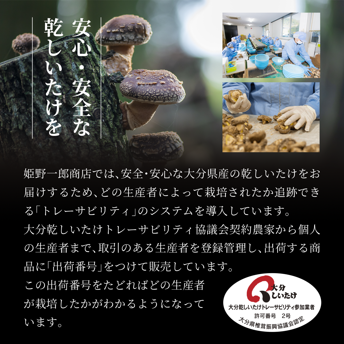 佃煮 ギフト 椎茸 老舗 詰め合わせ 国産 姫 ギフトセット 10個入(9種類)  しいたけの佃煮 昆布の佃煮 ちりめん ぴり辛 つくだ煮 甘露煮 ゆず甘露 きくらげ ご飯のお供 保存料・化学調味料不使用 手作り プレゼント 贈り物 手土産 ふるさとの味 姫野一郎商店 母の日 お歳暮 お中元 夏の贈り物 冬の贈り物 敬老の日 新築祝い お祝い 敬老の日 快気祝い 引っ越し祝い 