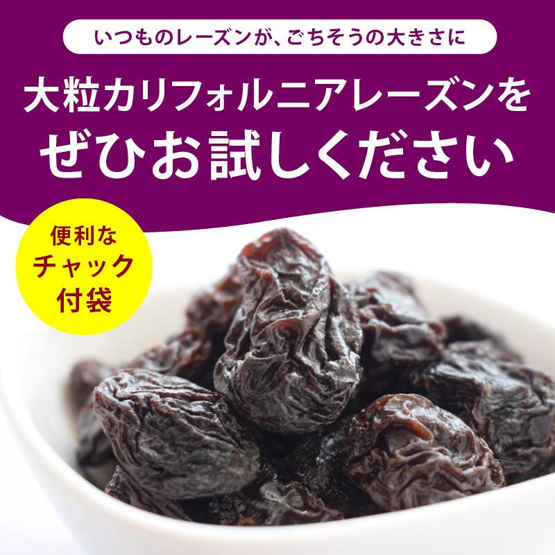 前田家 大粒レーズン ノンオイル カリフォルニア産 300g/500g/700g 無添加 砂糖不使用 種なし ドライフルーツ 干しぶどう レーズン 大粒 製菓材料 おやつ 送料無料 MAEDAYA