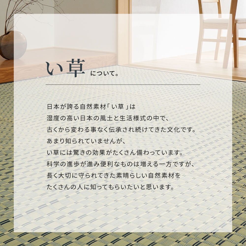 い草カーペット 清澄 せいちょう 江戸間 1畳 2畳 3畳 4.5畳 6畳 8畳 い草ラグ 天然い草100％ 掛川織 市松模様 和モダン 花ござ 上敷き 畳保護 四方縁 抗カビ 消臭 ブルー 夏用 涼感 和室 洋室 折りたたみ 調湿 さらさら 和風