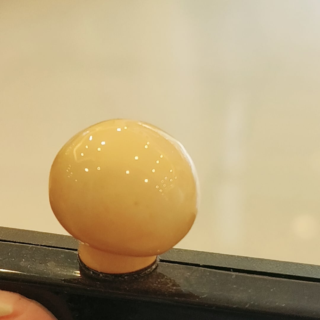 きのこ 置物 8点セット ミニチュア キノコ オブジェ インテリア雑貨 ミニフィギュア かわいい 小さい きのこ雑貨 マッシュルーム 飾り 北欧風 ナチュラル 韓国雑貨 森 ガーデニング デスク飾り 窓辺 玄関 卓上 小物 撮影小物 ディスプレイ プレゼント