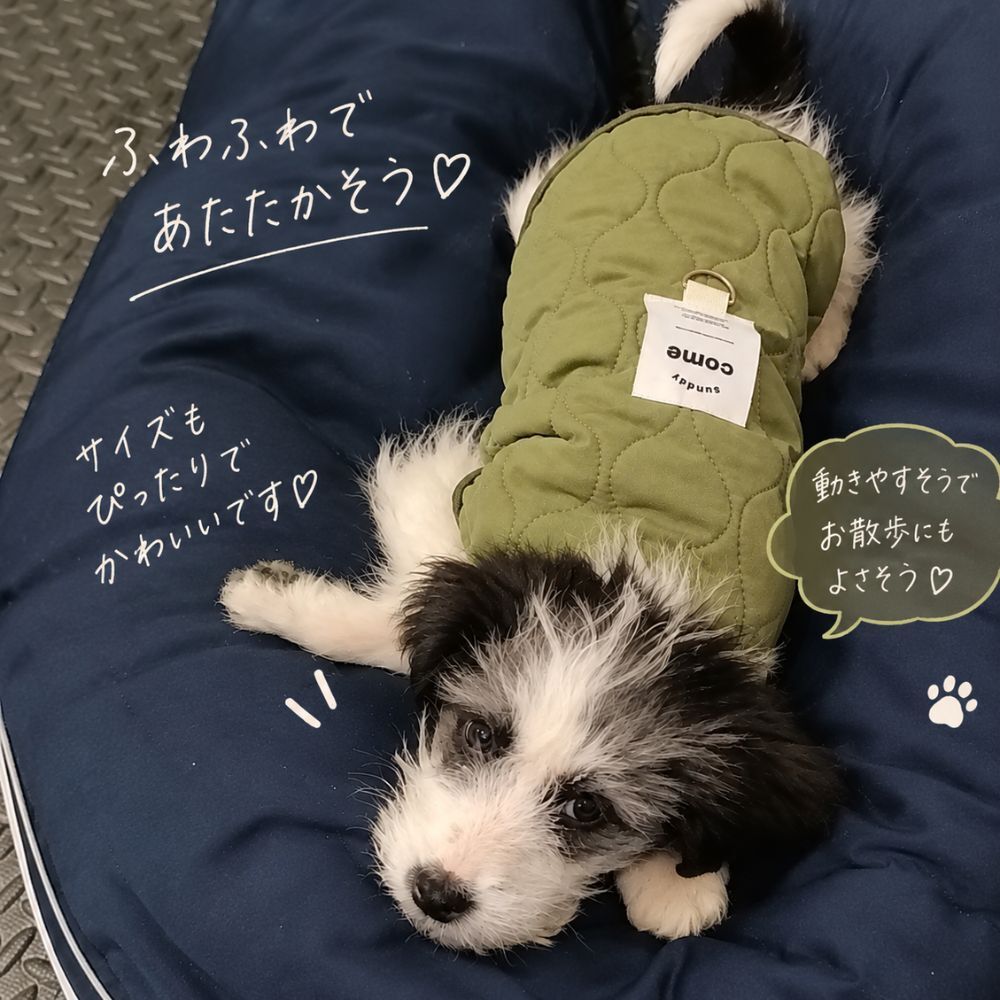 犬服 秋冬 犬用ベスト 防寒着 キルティング ボア 裏起毛 あったか ドッグウェア 小型犬 ペット服 袖なし スナップボタン 着脱簡単 おしゃれ かわいい 秋冬服 アイボリー カーキ S M L XL XXL コピー