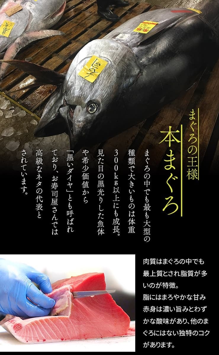 【送料無料・時短ギフト】天然 本マグロ 大トロ 500g お刺身用 2～4サク入！口の中でとろける脂と濃厚な旨みが絶品！解凍レシピ付き（鮪 お年賀 敬老の日 お中元 お歳暮 プレゼント グルメ 贈り物 母の日 父の日 御祝 内祝い 景品 コンペ ご褒美 誕生日 お祝い 出産祝い 結婚 上司 男 女友達 新築 引越 送別会 定年 退職祝い 還暦 喜寿 海鮮 おつまみ） [[天然本鮪大トロ500g]
