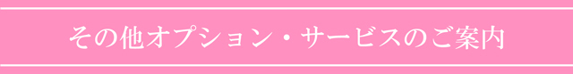 【翌日配送】★送料無料★輪島うるし箸☆七彩(一膳)【普段使い お手軽ギフト 結婚祝い 還暦 古希 内祝 法要の引き出物 彩り豊か 誕生日】