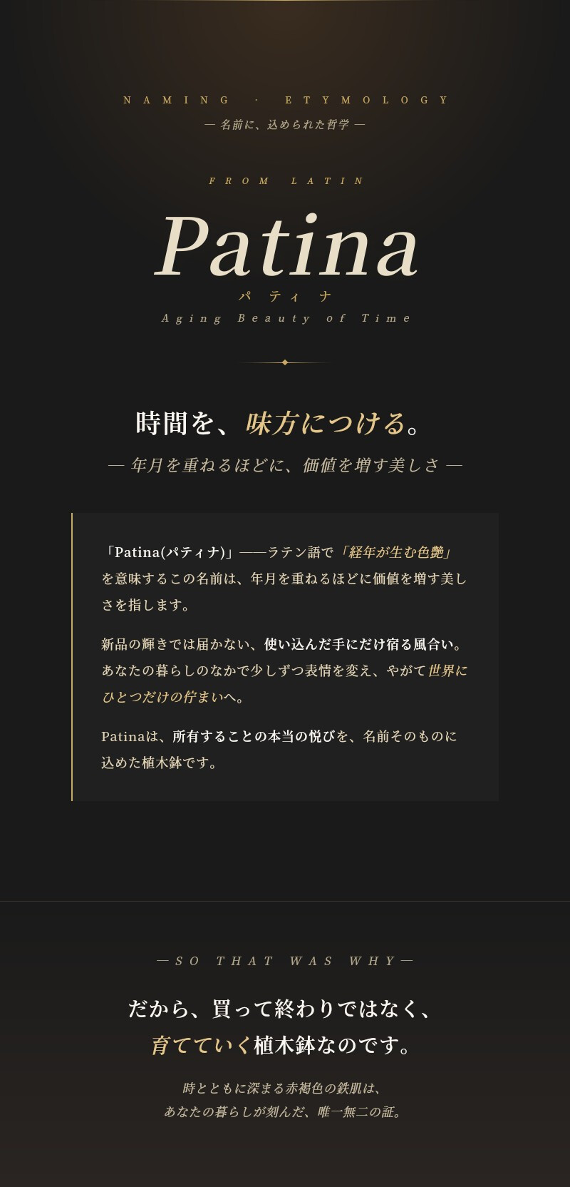 コールテン鋼 高級植木鉢 おしゃれ スクエア 30cm四方 アンティーク 経年美 Patina スクエアプランターL300 2mm厚 A-PLUS 屋外 観葉植物 多肉植物 サボテン 寄せ植え 花 鉢カバー 北欧 モダン ガーデニング 玄関 庭 パティナ