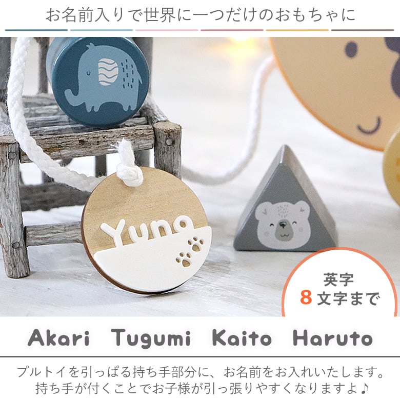 【出産祝い 誕生日】《知育玩具》ポーラービー（PolarB）名前入りソーティングプルトイ・はりねずみ【メッセージカード無料】誕生日,クリスマス,プレゼント 