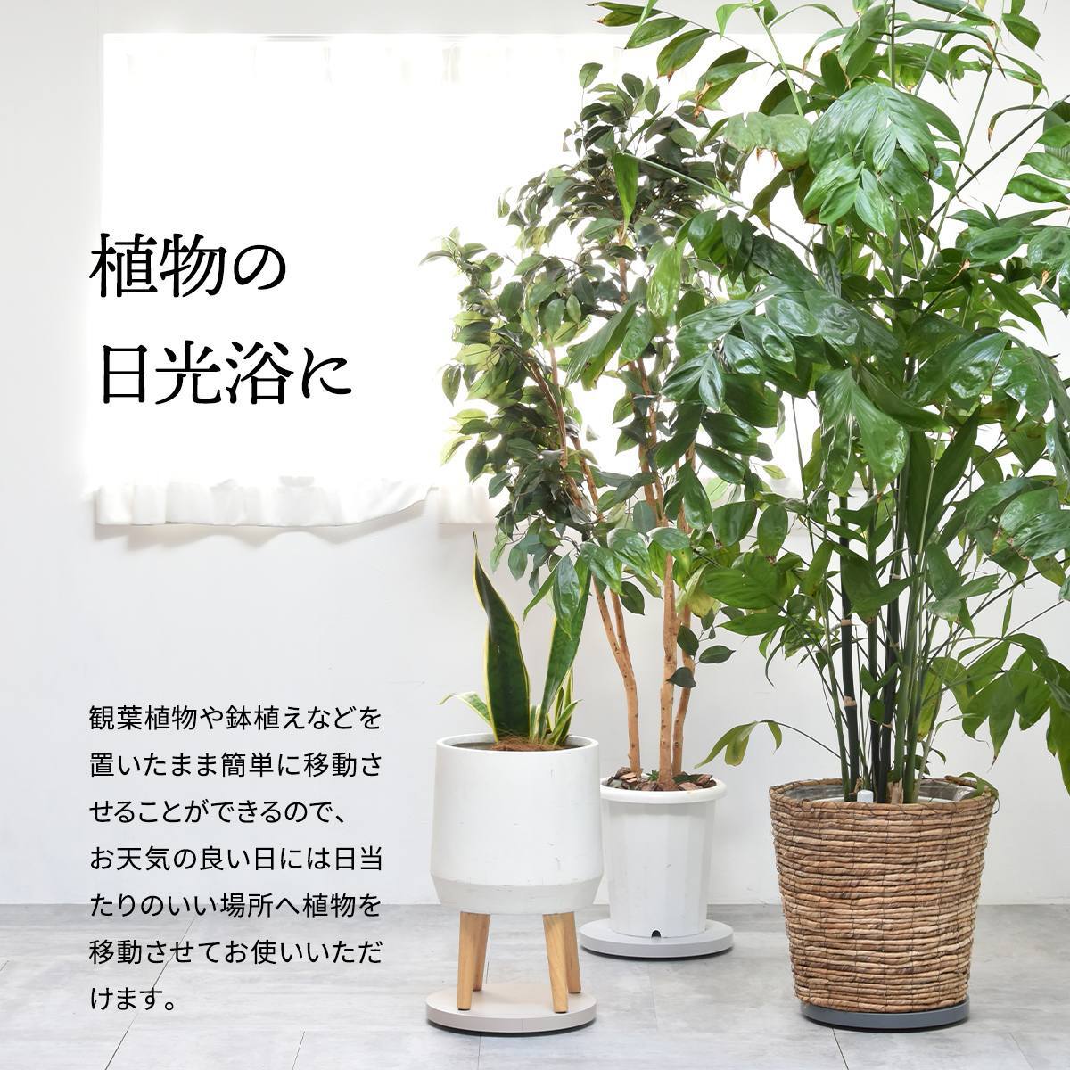 Noko ラウンドプランターベース NKLZ0262 鉢置き 新生活