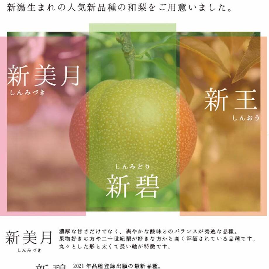 【予約：9月上旬〜随時発送】【お取り寄せご自宅用】にいがた和梨おまかせ便 ギフト プレゼント お中元 お歳暮 出産祝い 内祝い お誕生日 御祝 御礼 母の日 父の日 敬老の日 記念日 手土産 季節の贈り物【送料無料】