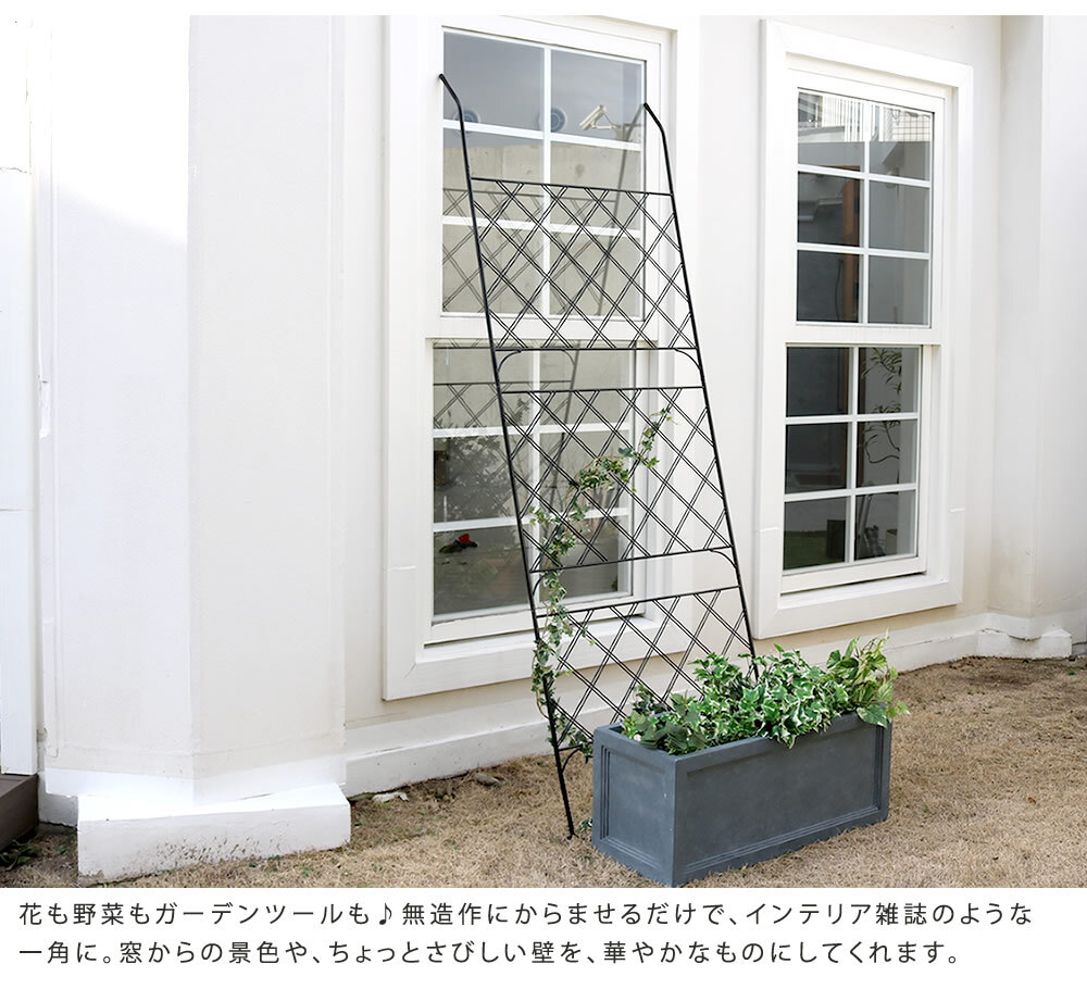 アイアンフェンス アイアン製グリーン アーガイル 2枚組 フェンス アイアン グリーンフェンス ゴーヤ 薔薇 バラ 朝顔 庭 ベランダ ガーデニング 枠 柵 仕切り 目隠し 境目 アンティーク トレリス 園芸 ラティス 屋外 ガーデンフェンス 庭用品 新生活